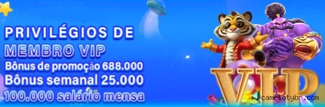 Cameloty.com Plataforma