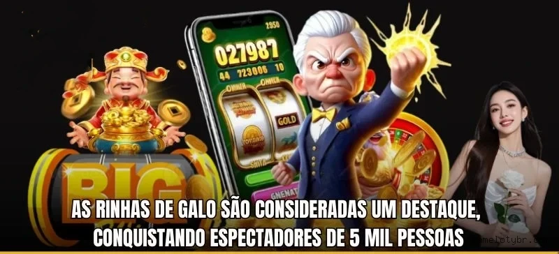 Parceiros Cameloty.com